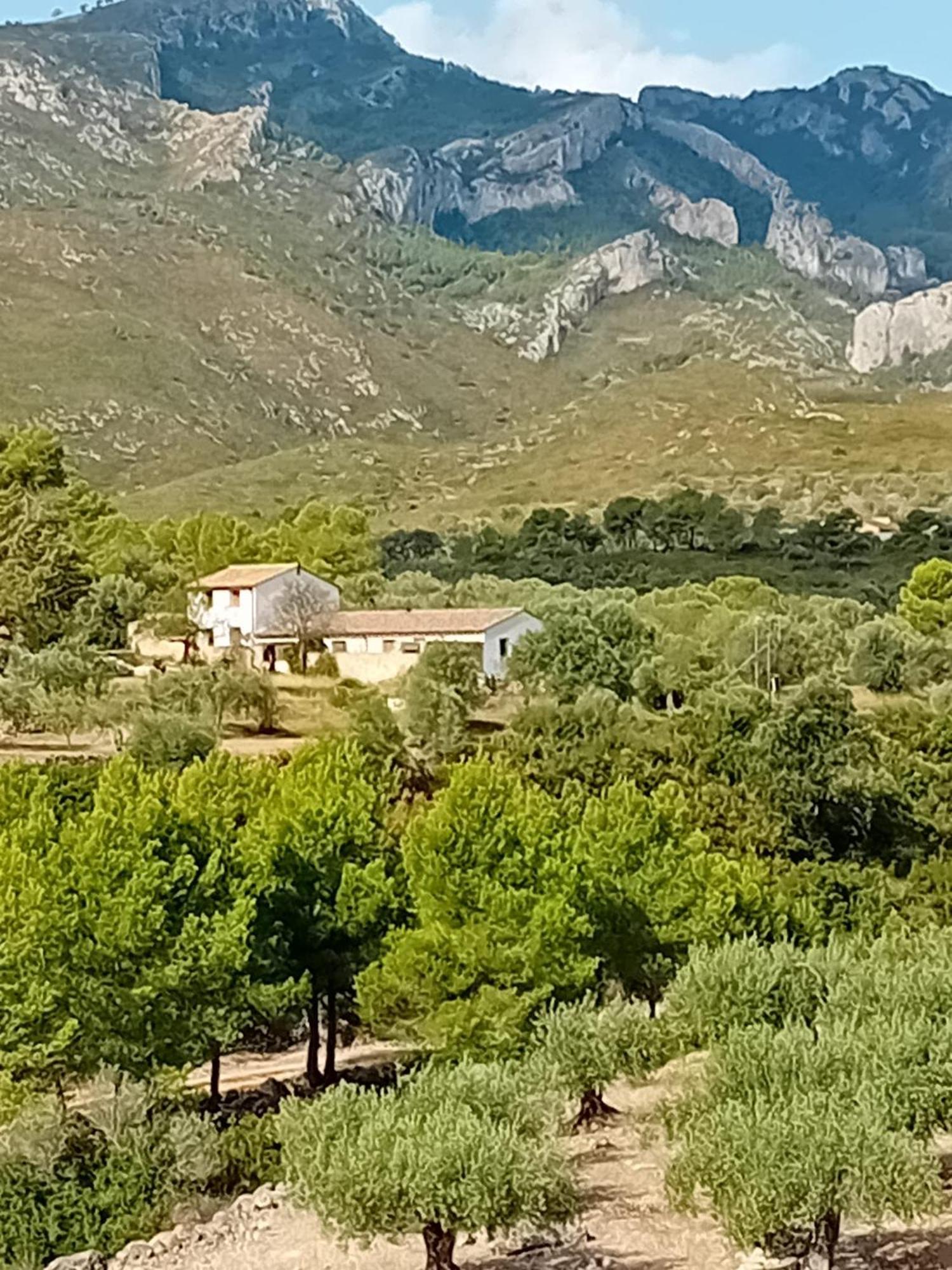 Casa Solans - Casa Rural Rasquera Exterior foto